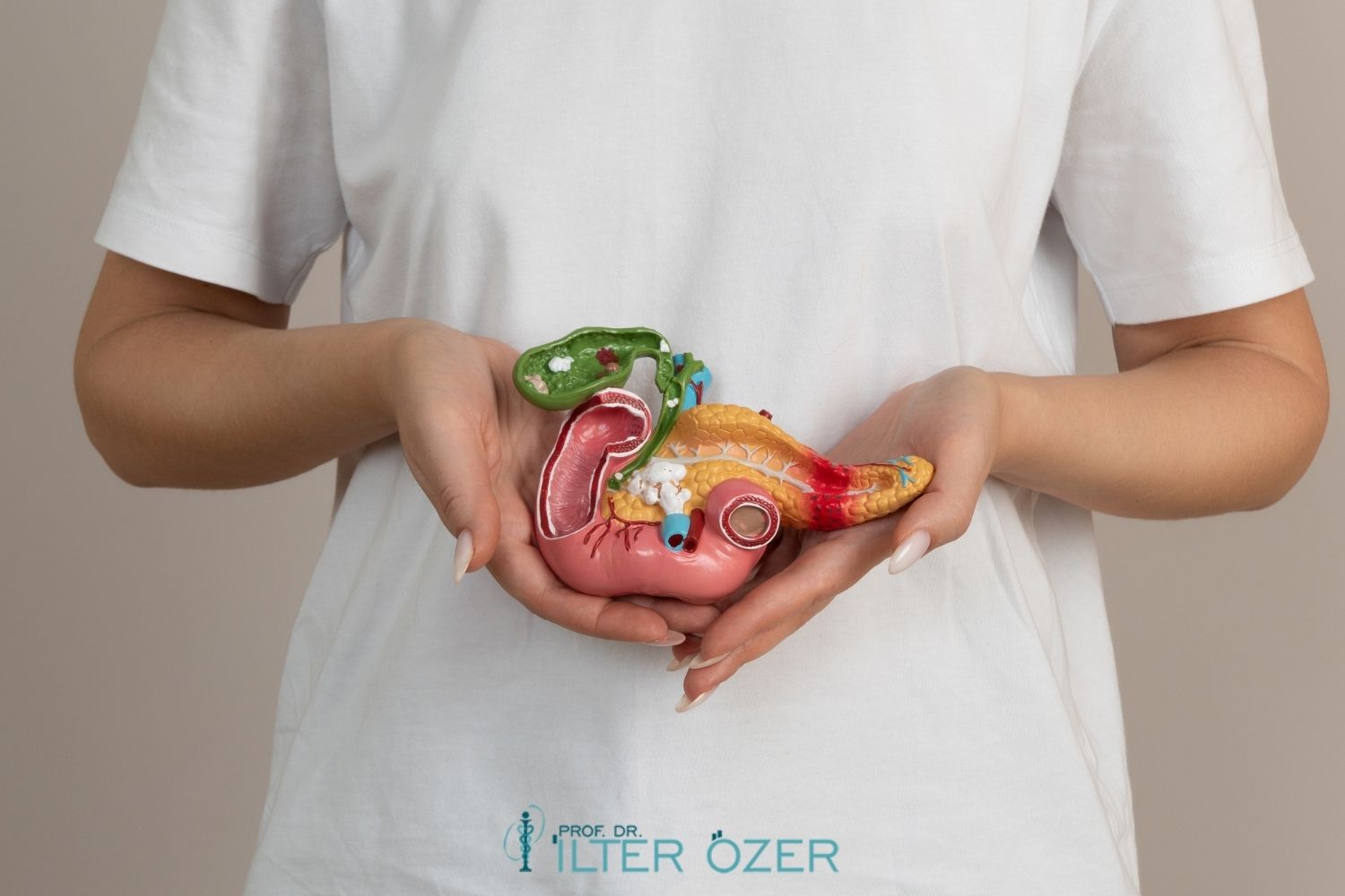 Pankreasın Yapısı ve Görevleri (Pankreas Anatomisi)