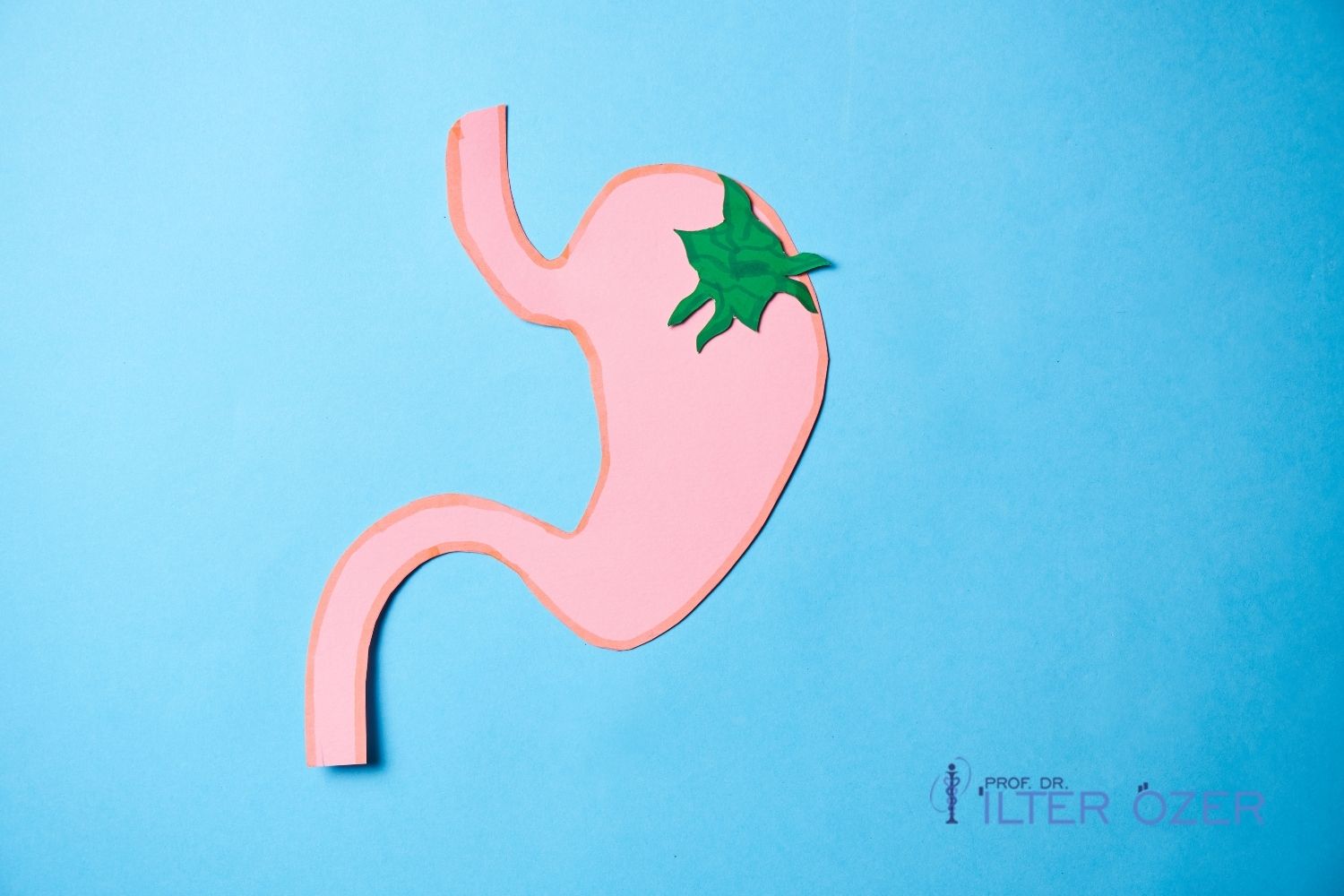 What Is Stomach Cancer?