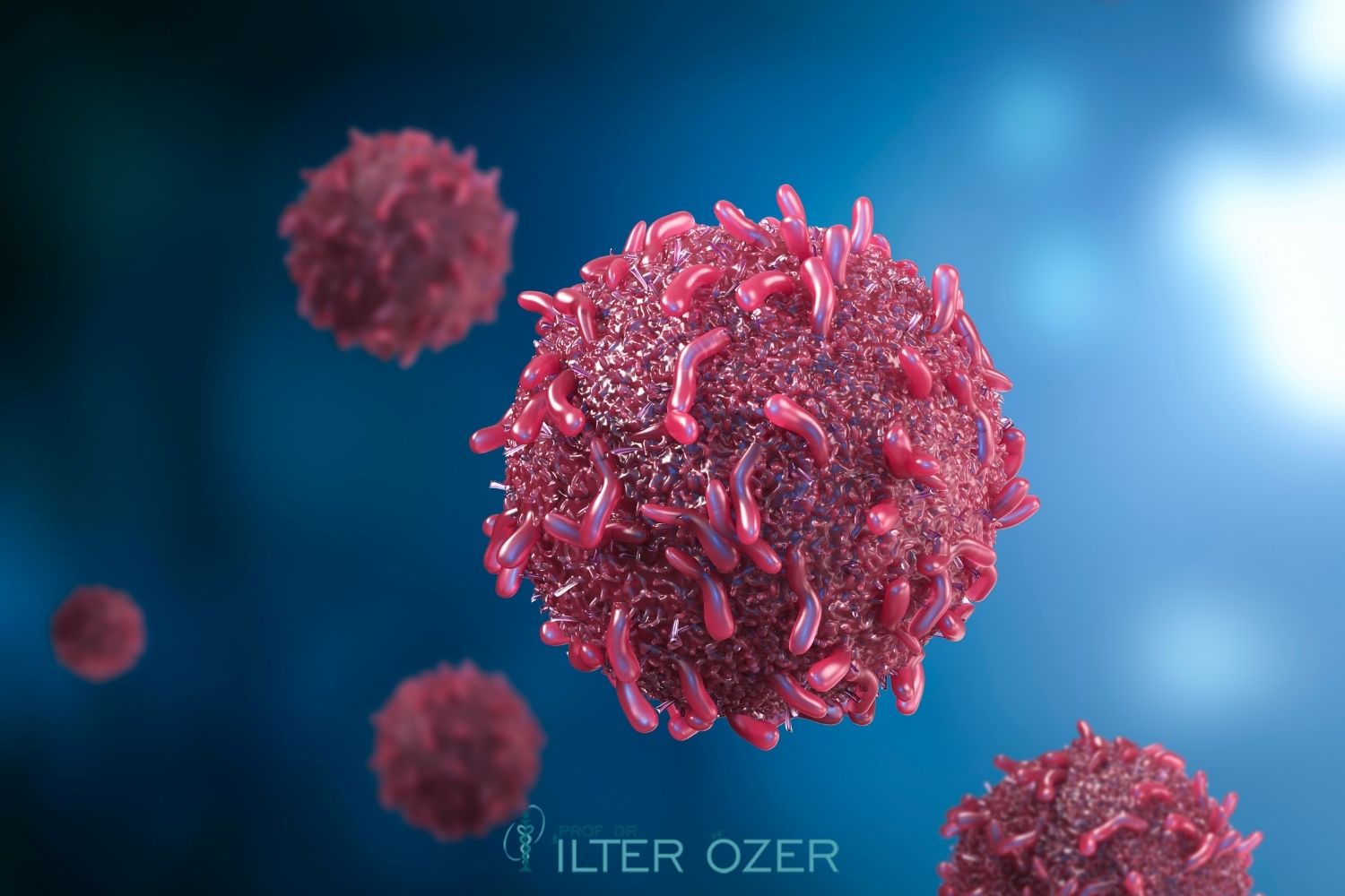 Terminal Stage Cancer Symptoms and Support