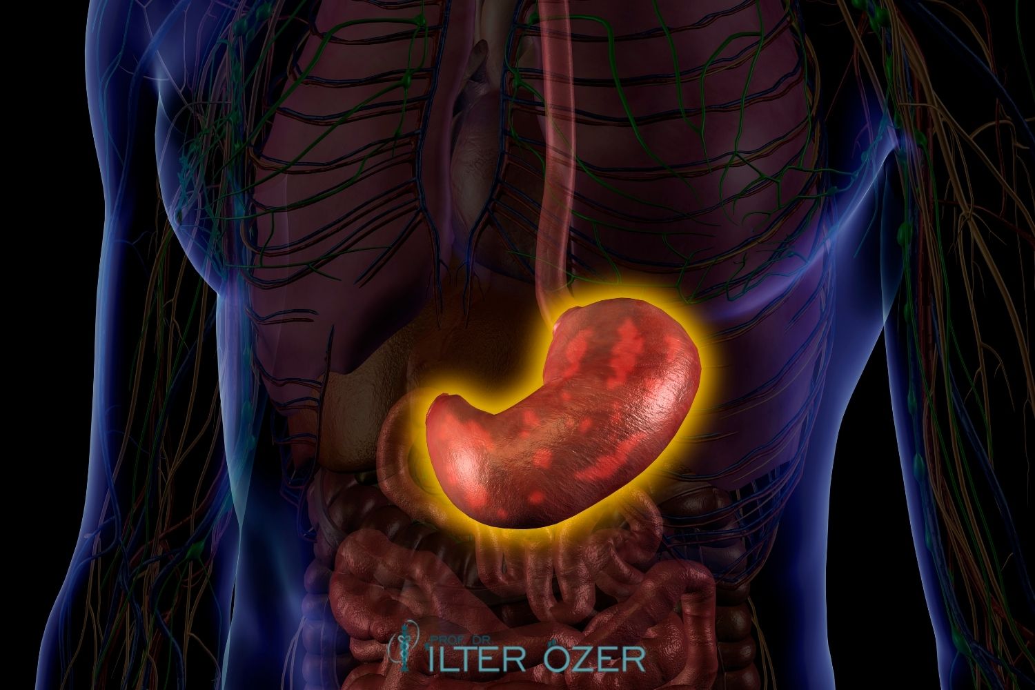 Mide Yanması İçin Hangi Doktora Gidilir?
