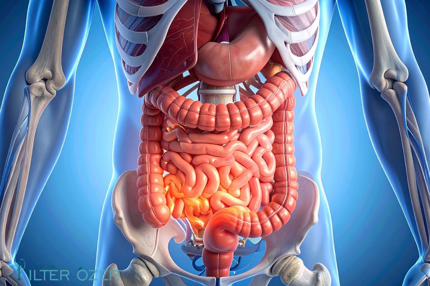 Peritoneal Cancer Symptoms and Treatment