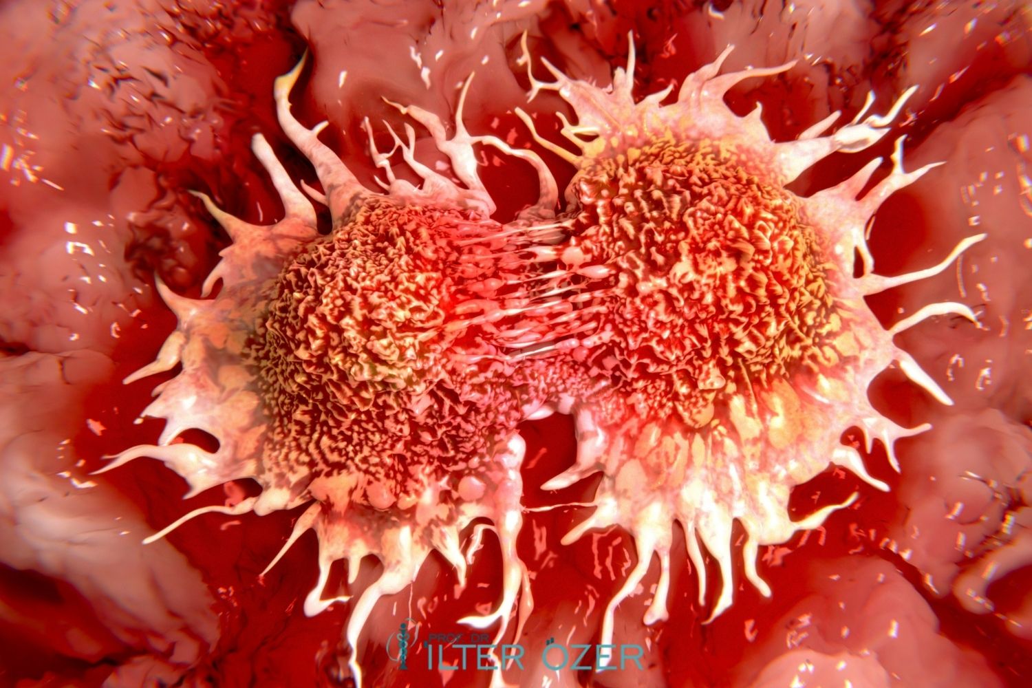 Tumor Markers in Oncology